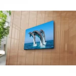 3040C-28 Multicolor Decorative Canvas Painting