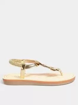 Yours Extra Wide Fit Diamante Butterfly Toe Post Gold, Size 4Eee, Women