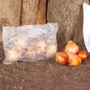 YouGarden Novelty Premium Tulip Ice Cream 10 bulbs - Brown