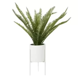 Interiors By Premier Fern White Cement Pot with a Iron Stand