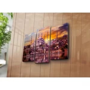 3PATK-45 Multicolor Decorative Canvas Painting (3 Pieces)