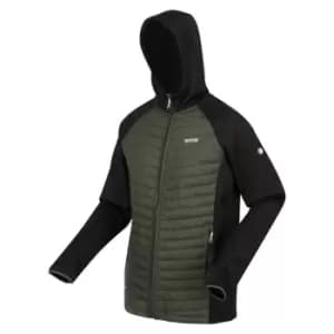 Regatta Anderson VII hybrid Insulated Jacket - Green