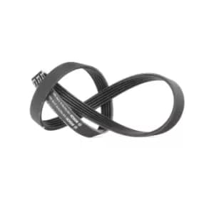 Bosch V-ribbed belt AUDI,BMW,OPEL 1 987 947 919 195510510305,71719007,7604445 7640257,11287833266,11281736759,11281736988,11287833266,71719007,7604445