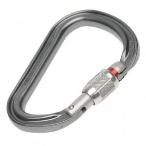 Petzl William Carabiner - Silver