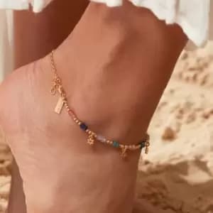 ChloBo Gold Plated Nightfall Wishes Anklet