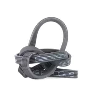 Bosch V-ribbed belt BMW 1 987 946 215 11287800341,11288506993,11288512068