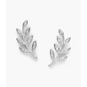 Fossil Womens Elliott Olive Branch Sterling Studs - Silver