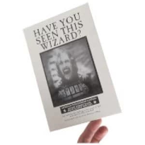 Harry Potter Lenticular The Daily Prophet Notebook