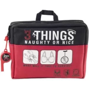 3 Things Naughty or Nice Game