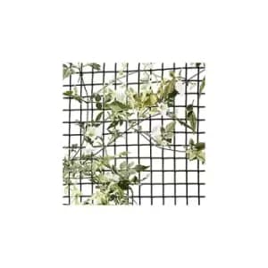 General Purpose Garden Mesh Outdoor Indoor Fencing Plant Support Plastic Mesh Netting for Climbing Plants Protection Allotment Cover Pest Deterrent