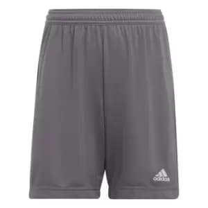 adidas ENT22 Shorts Juniors - Grey