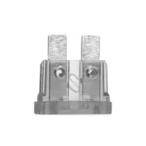 Bosch Fuse 1 904 529 908 072581000307,A072581000307