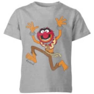 Disney Muppets Animal Classic Kids T-Shirt - Grey - 11-12 Years