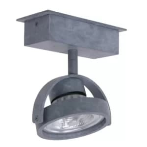 Lenox Spot Single Spotlight Grey Concrete