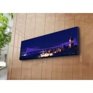 3090C-53 Multicolor Decorative Canvas Painting