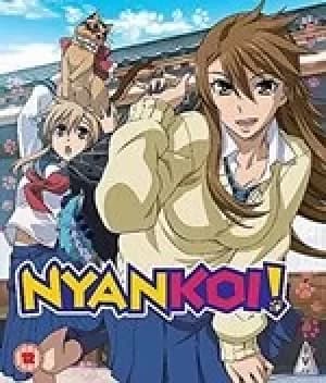 Nyan Koi!: Collection (Bluray)