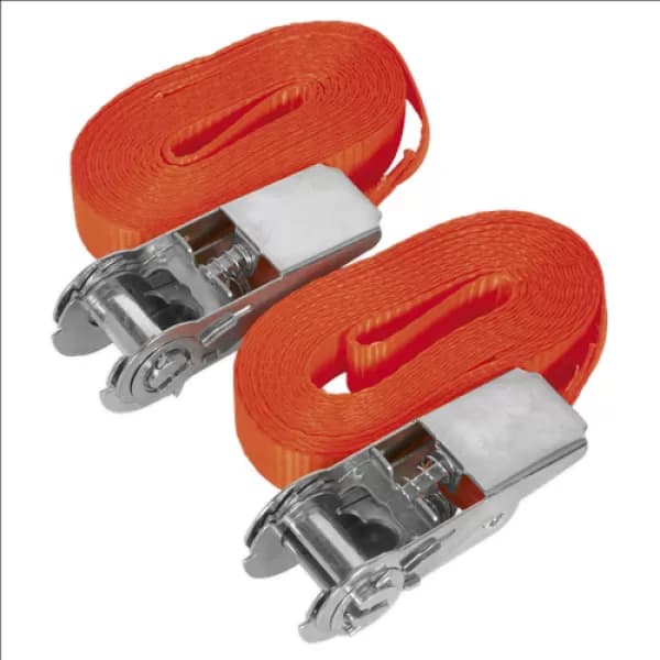 Sealey TD08045E Self-Securing Ratchet Tie Down 25mm x 4.5mtr 800kg Load Pair