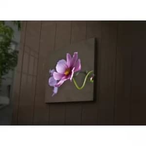 4040?ACT-44 Multicolor Decorative LED Lighted Canvas Painting