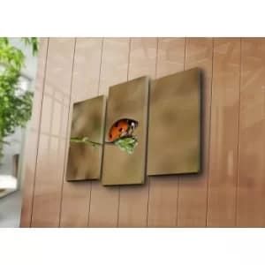 3NATPAT-31 Multicolor Decorative Canvas Painting (3 Pieces)