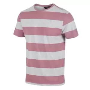 Regatta Brayden T-Shirt - Mauve Stripe