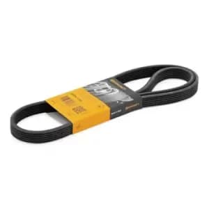 CONTITECH V-ribbed belt 6DPK1195 Serpentine belt,Auxiliary belt VW,AUDI,FORD,Golf IV Schragheck (1J1)