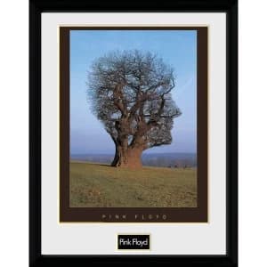 Pink Floyd Tree Collector Print