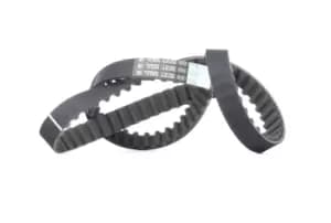 Bosch Timing Belt 1 987 949 034 Cam Belt,Toothed Belt PEUGEOT,CITROEN,ROVER,206 Schragheck (2A/C),206 SW (2E/K),106 II Schragheck (1A_, 1C_)