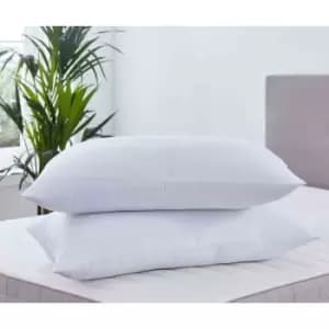Martex Health Wellness Microfresh Seersucker Pillow Pair