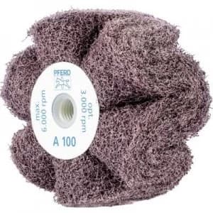 PFERD 44642201 HORSE POLINOX grinding wheel with thread M 14 100 x 50 Mm corundum A 100 design PNG 100 mm 5 pc(s)
