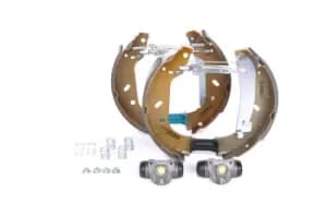 Bosch Brake Set, drum brakes 0 204 114 112 FIAT,PEUGEOT,CITROEN,Scudo Kastenwagen (220_),Scudo Kombi (220_),ULYSSE (220)