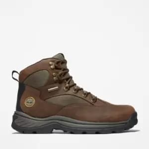 Timberland Trailwind Composite-toe Work Hiker For Men In Dark Brown, Size 10