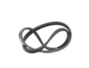 Bosch V-ribbed belt RENAULT,FIAT,HONDA 1 987 947 844 6001543512,71719399,7753473 31110PG6003,31110PG6004,31110PG6B00,31110PG6B003,31110PG7661,7753473