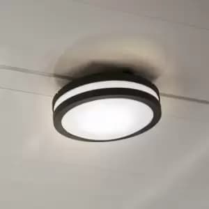 Lutec Titan LED Wall/Ceiling Light - Dark Grey