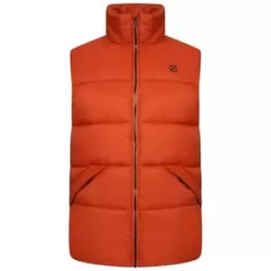 Dare 2b Mentor Padded Gilet - Black