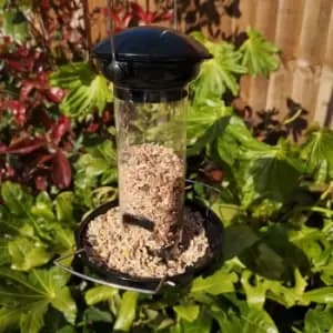 Heavy Duty Flick and Click Garden Wild Bird Hanging Black Metal Mealworm Feeder - Tom Chambers