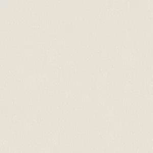 Holden Pinto Cream Wallpaper