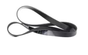 DAYCO V-ribbed belt OPEL,FORD,FIAT 6PK1205 12578001,5750RZ,5750ZG Serpentine belt,Auxiliary belt,Poly V-belt,Ribbed belt,Multi V-belt,Poly belt,5750RZ