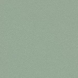 Holden Decor Pinto Duck Egg Wallpaper