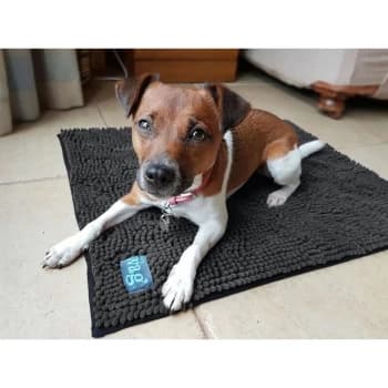 Microfibre Noodle Pet Mat - Medium - 40731 - Henry Wag