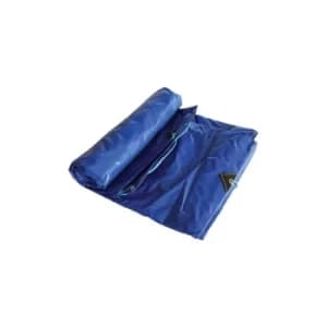10.0MX10.0M Standard Blue Tarpaulin