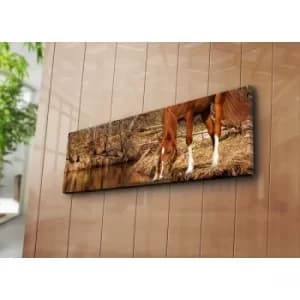 3090C-48 Multicolor Decorative Canvas Painting