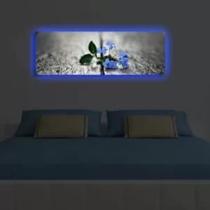 3090DACT-49 Multicolor Decorative LED Lighted Canvas Painting
