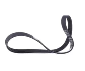 Bosch V-ribbed belt RENAULT,PEUGEOT,CITROEN 1 987 946 021 5750C5,5750K2,5750K3 5750P9,5750Q0,5750W9,96165811,96173680,96273681,117206F905,5750C5