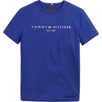 Tommy Hilfiger Essential T-Shirt - Regal C7C