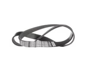 DAYCO V-ribbed belt FORD 6PK1029EE 1740957,1809955 Serpentine belt,Auxiliary belt,Poly V-belt,Ribbed belt,Multi V-belt,Poly belt