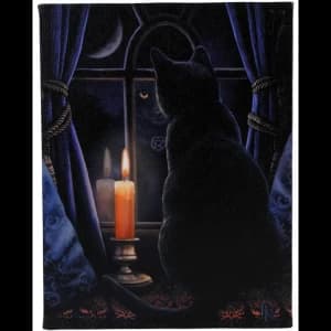 Small Midnight Vigil Canvas Picture by Lisa Parker