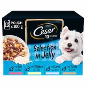 Cesar Senior 10 Plus Selection in Jelly Dog Food 12 x 100g