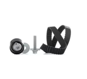 SNR Timing belt kit RENAULT,NISSAN,DACIA KD455.49 7701473120,7701475115,7701476571 7701477012,7701477028,8200102941,8200241629,8200344791,8200366318