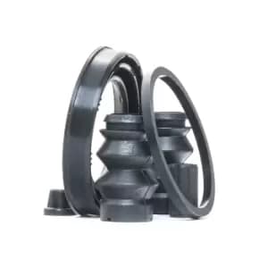 RIDEX Brake Caliper Repair Kit 405R0360 Caliper Repair Kit,Brake Caliper Rebuild Kit OPEL,FIAT,PEUGEOT,AGILA (B) (H08),Ducato Kastenwagen (250_, 290_)