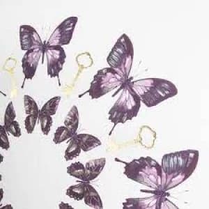 Art For The Home Blissful Butterflies 60 x 60cm Printed Canvas